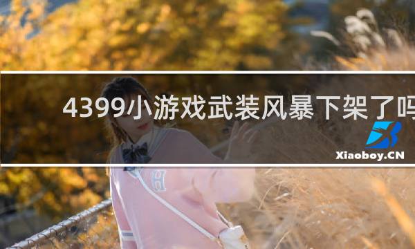4399小游戏武装风暴下架了吗