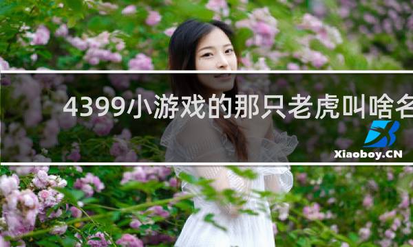 4399小游戏的那只老虎叫啥名