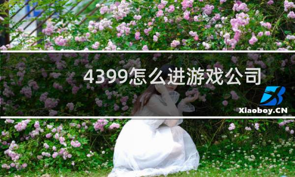 4399怎么进游戏公司