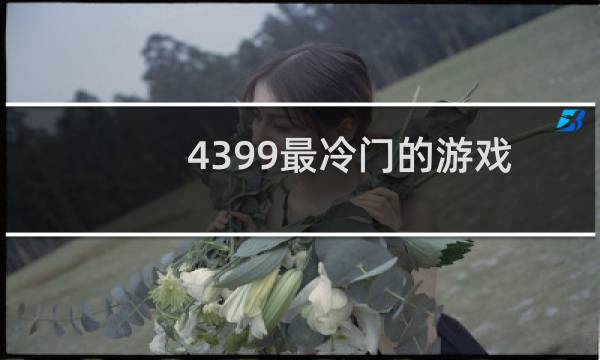 4399最冷门的游戏