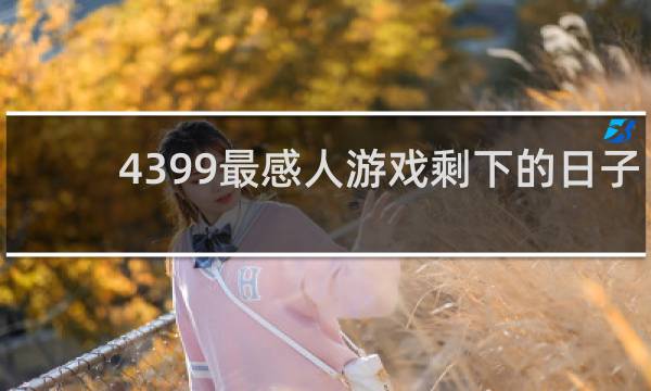 4399最感人游戏剩下的日子
