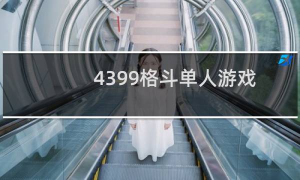 4399格斗单人游戏