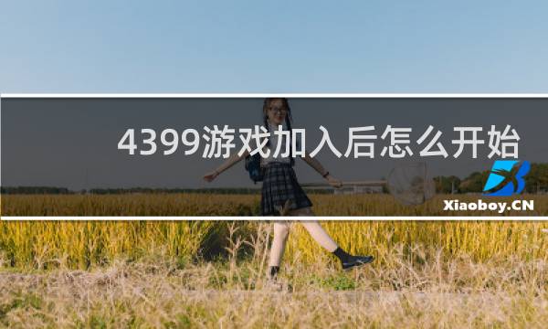 4399游戏加入后怎么开始