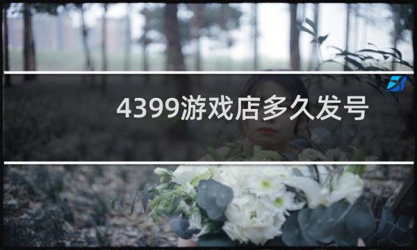 4399游戏店多久发号