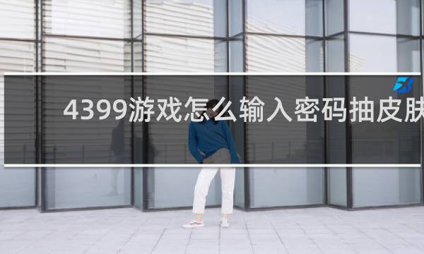 4399游戏怎么输入密码抽皮肤