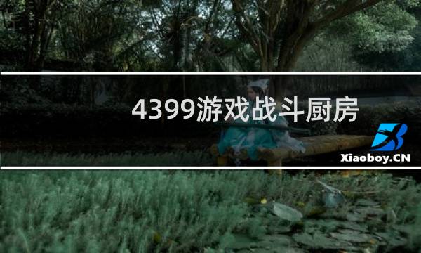 4399游戏战斗厨房