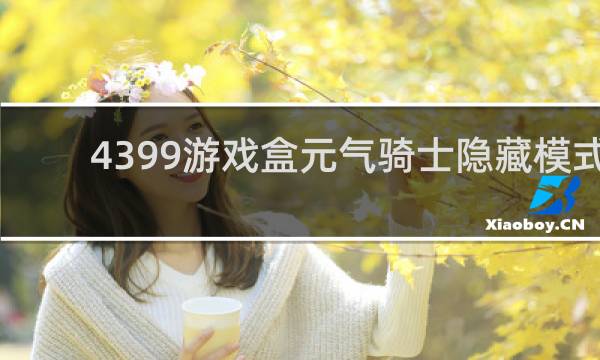 4399游戏盒元气骑士隐藏模式
