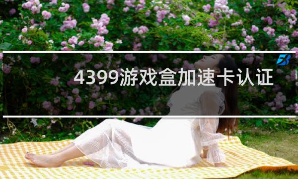 4399游戏盒加速卡认证