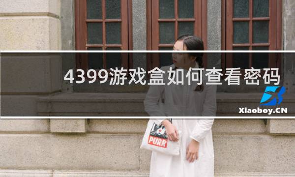 4399游戏盒如何查看密码