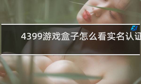 4399游戏盒子怎么看实名认证