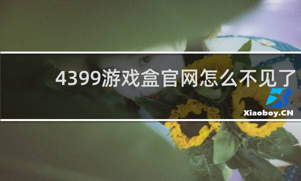 4399游戏盒官网怎么不见了
