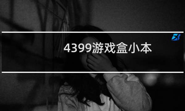 4399游戏盒小本