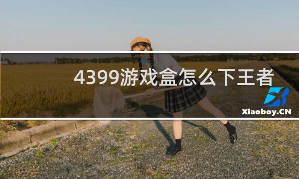 4399游戏盒怎么下王者