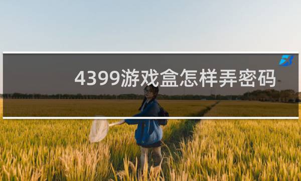 4399游戏盒怎样弄密码