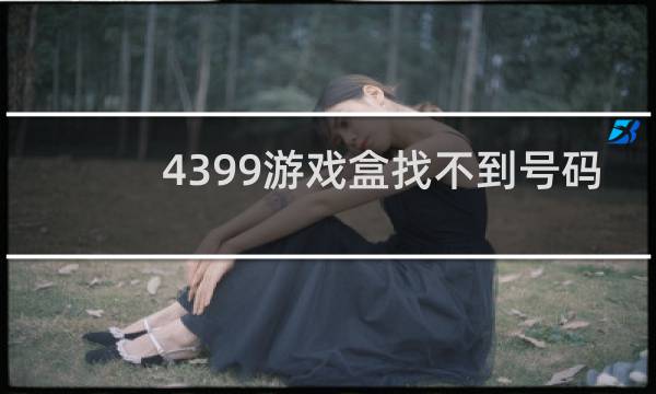 4399游戏盒找不到号码