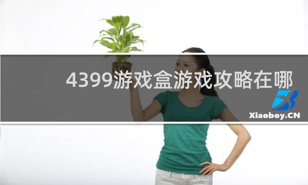 4399游戏盒游戏攻略在哪