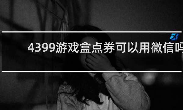 4399游戏盒点券可以用微信吗