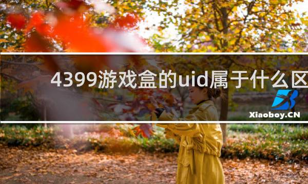 4399游戏盒的uid属于什么区