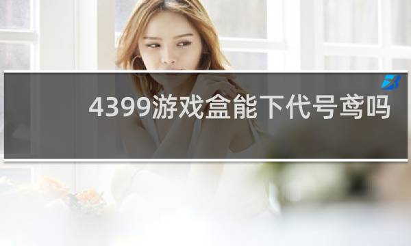 4399游戏盒能下代号鸢吗