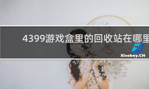 4399游戏盒里的回收站在哪里