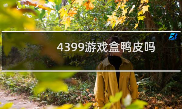 4399游戏盒鸭皮吗