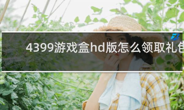 4399游戏盒hd版怎么领取礼包