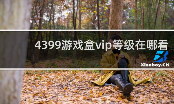 4399游戏盒vip等级在哪看
