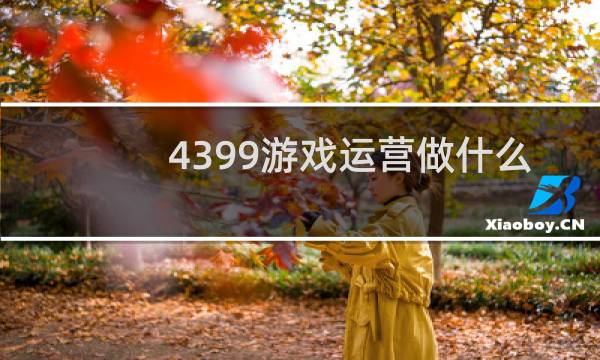 4399游戏运营做什么
