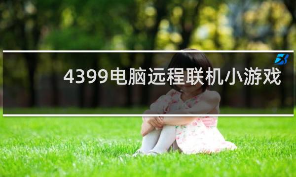 4399电脑远程联机小游戏