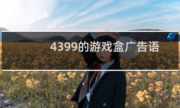 4399的游戏盒广告语