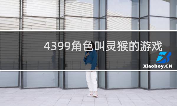 4399角色叫灵猴的游戏