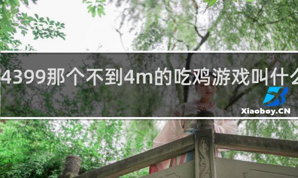 4399那个不到4m的吃鸡游戏叫什么意思
