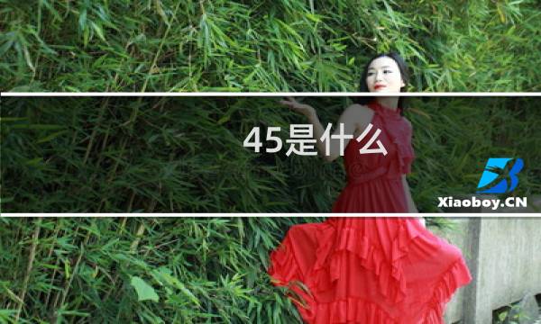 45是什么