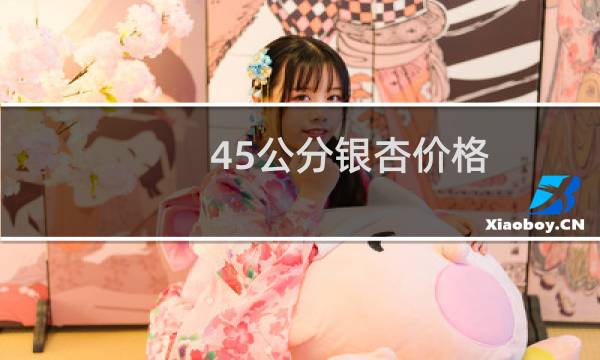 45公分银杏价格