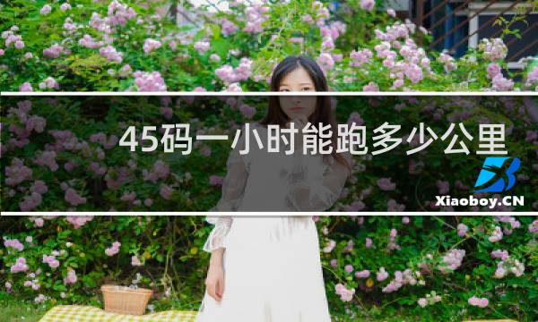 45码一小时能跑多少公里