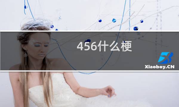 456什么梗