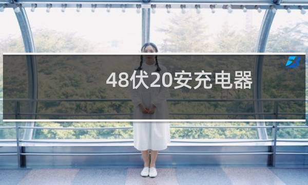 48伏20安充电器