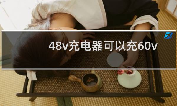 48v充电器可以充60v