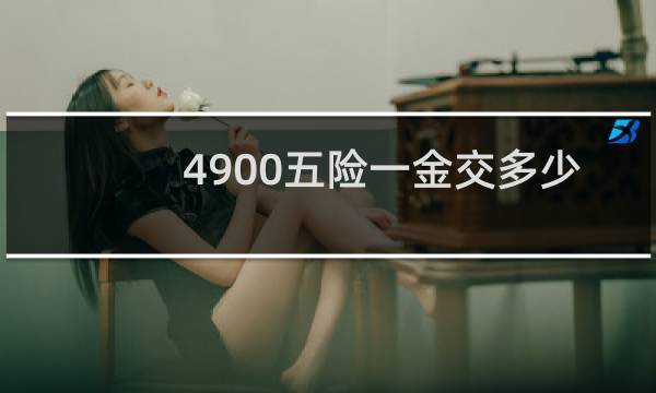 4900五险一金交多少图片