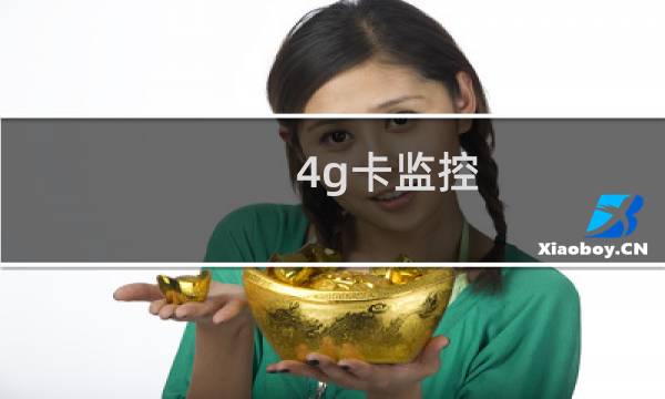 4g卡监控图片