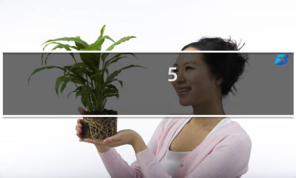5.12日是什么