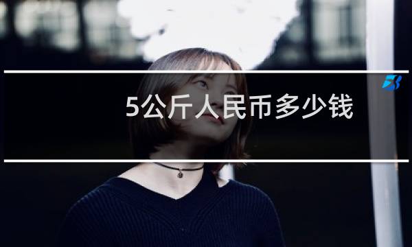 5公斤人民币多少钱