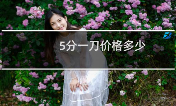 5分一刀价格多少