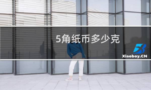 5角纸币多少克