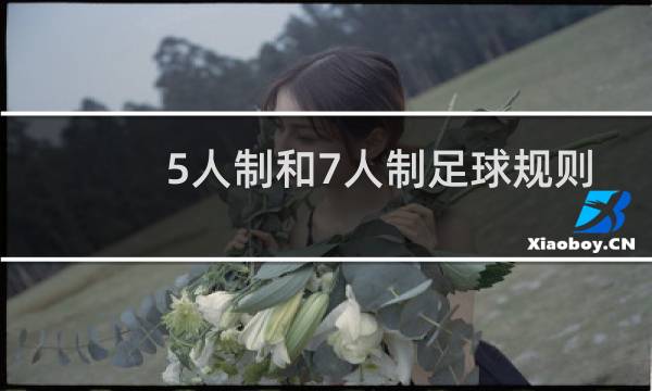 5人制和7人制足球规则