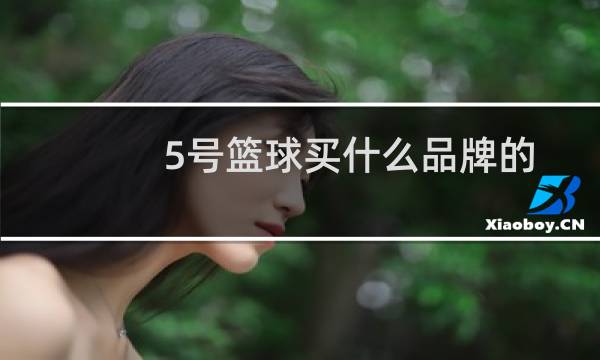 5号篮球买什么品牌的