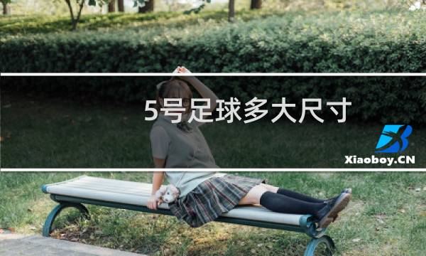 5号足球多大尺寸