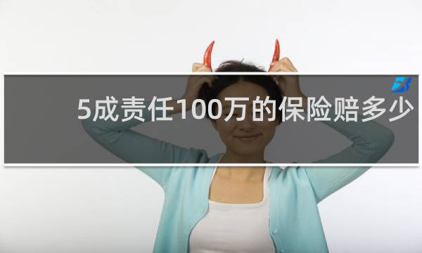 5成责任100万的保险赔多少图片