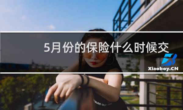 5月份的保险什么时候交图片