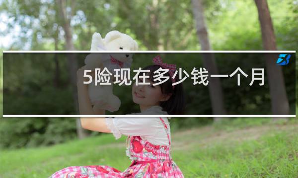 5险现在多少钱一个月